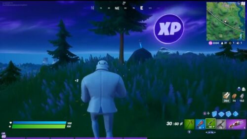 Fortnite - Purple XP Coin