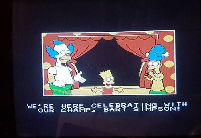 The Simpsons: Bart vs The World