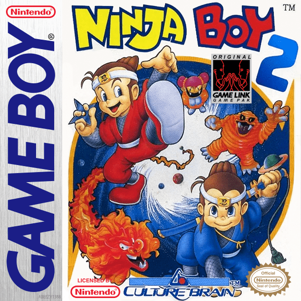 Play Ninja Boy 2