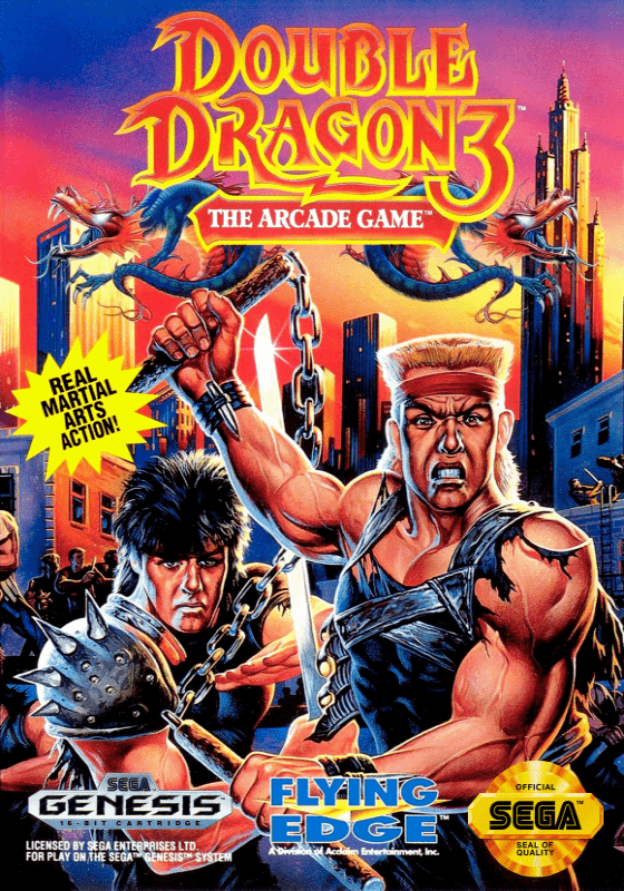 Double Dragon 3 - El juego arcade