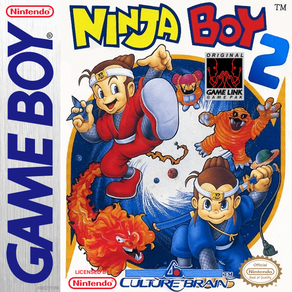 Ninja Boy 2