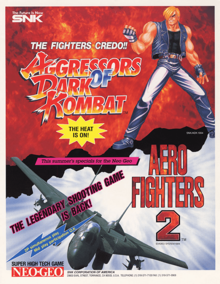 Play Aero Fighters 2