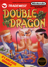 Play Double Dragon